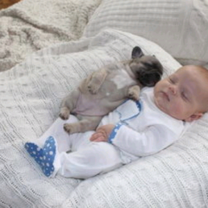 全世界试管成功率排名最新,全世界比较好的试管婴儿技术哪个国家?